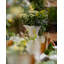Maria Flor Earthenware Pitcher