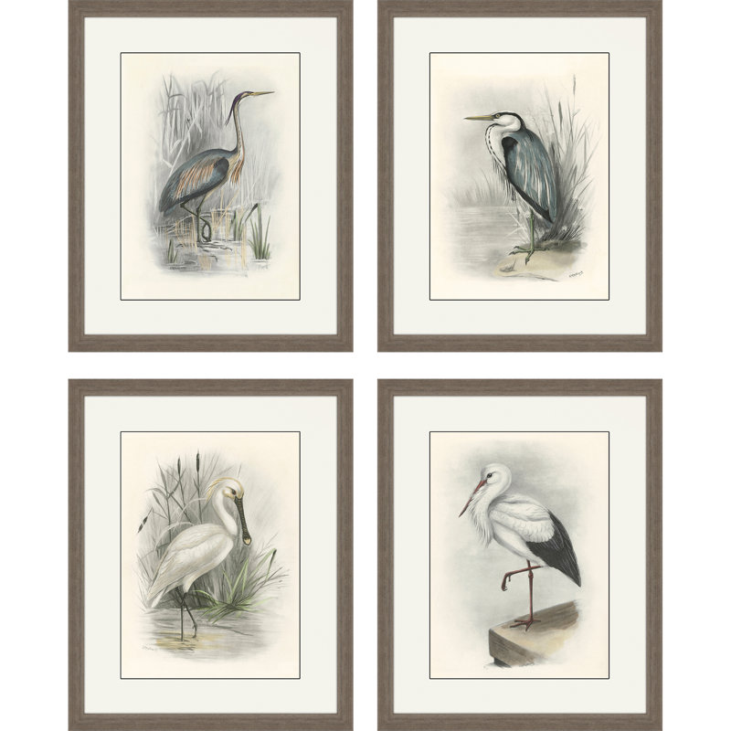 Ensemble de quatre oiseaux bruns, art mural encadré