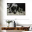 Amis chiens et chats-107501243