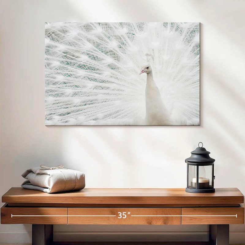 Plume de paon blanche neige, H 16 po x l 24 po