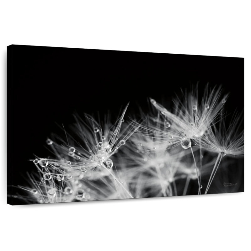 Harnek Dandelion Dewdrops, H 8 po x l 12 po