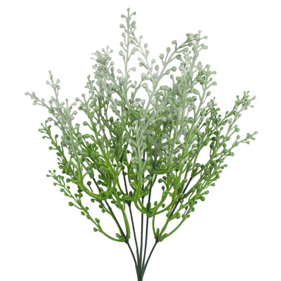 Poivre, baies, verdure, buisson, plante