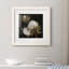 Cotton Balls II - peinture encadrée-241954697-241954701