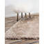 Tapis de zone ivoire Starlet-40284541
