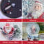 Christmas Snow Globe