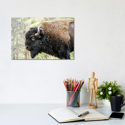 All Quiet On The Western Front by Heather Roberson - Wrapped Canvas Print