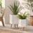 Vanmatre Planter-1171337229