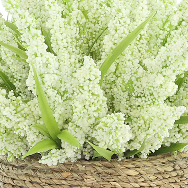Heather dans un pot de paille, Blanc