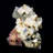 Wulfenite on Mottramite - Mina Ojuela, Mexico