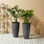 Ensemble de 2 pots à fleurs hauts et ronds-848505872-878031880