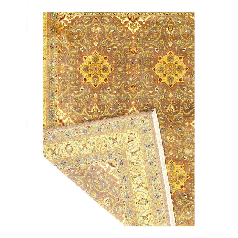 Oriental Indoor Rug
