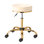 Adjustable Salon Stool