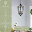 Luminaire suspendu lanterne Cieara