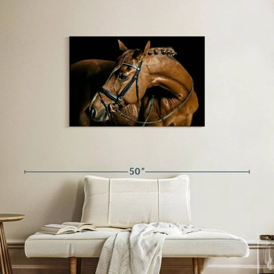 Cheval de dressage Brampt