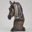 Animal Animals Bust