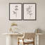 «Morning Glory Flowers», art moderne minimaliste, impressions encadrées, affiches, petit art mural de salle de bain-104788184-104788188
