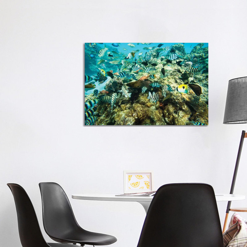 Coral Reef Fish Swimming In The Pacific Ocean, Tahiti, French Polynesia by Panoramic Images - Wrapped Canvas Print