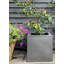 Vrej Handmade Pot Planter-26335891-14486221