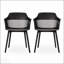 Ensemble de chaises d'extérieur DAHLIA avec mélange de plastique résistant aux intempéries, durable et élégant pour le patio et le jardin