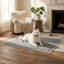 Couvertures pour chien