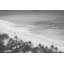 Morgan J Hartley - Wrapped Canvas Print-1078223100