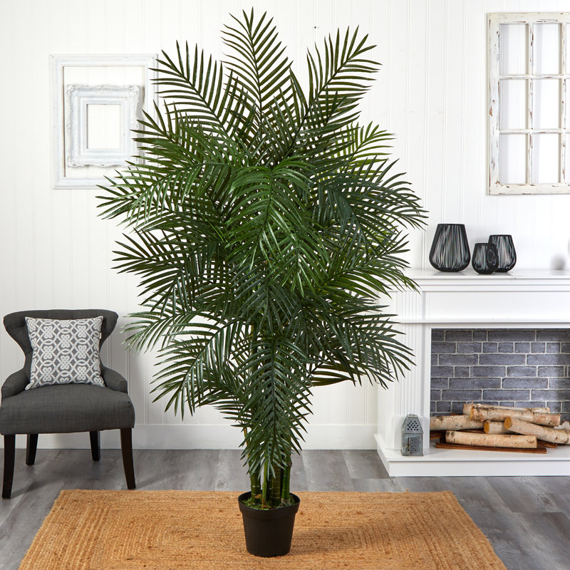Areca Palm Tree in Pot, 78" H x 60" W x 45" D