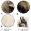 «Black Playful Skunk Meadows», art mural en métal animal Skunk-648363850