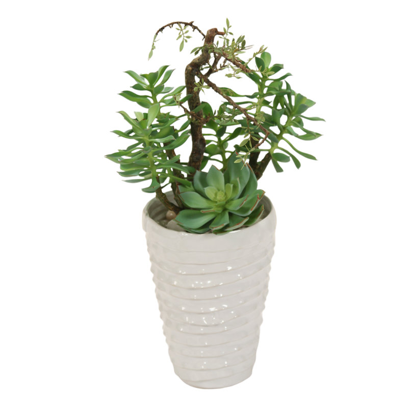 Plante grasse artificielle 18 po dans un vase décoratif