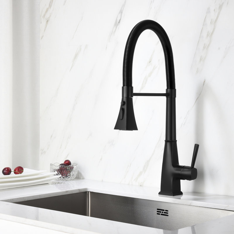Robinet de cuisine avec douchette extractible