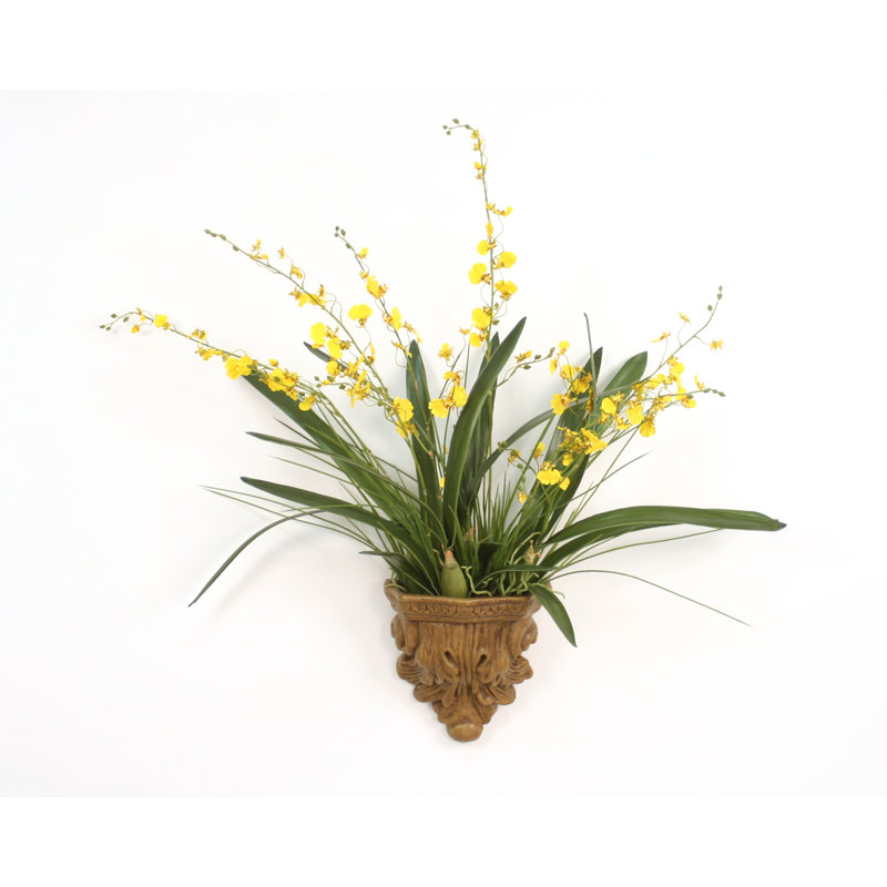 Orchidées en soie Oncidium dans une applique murale Summerdale Acanthus