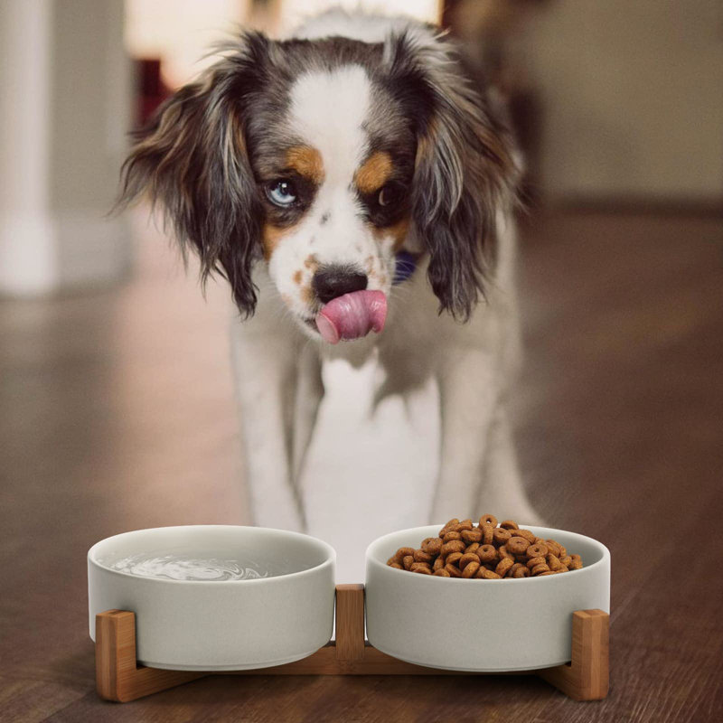 Ensemble d'eau et de nourriture en céramique pour chien et chat en céramique avec support en bois