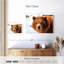 Regard d'ours grizzly-107703631