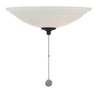 Mcginley 14 in. 2 - Light Frosted LED Bowl Ceiling Fan Light Kit