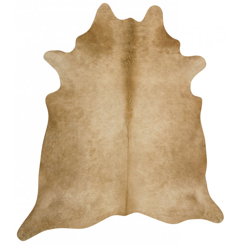 Amet Cowhide Indoor Rug, 5' x 7'