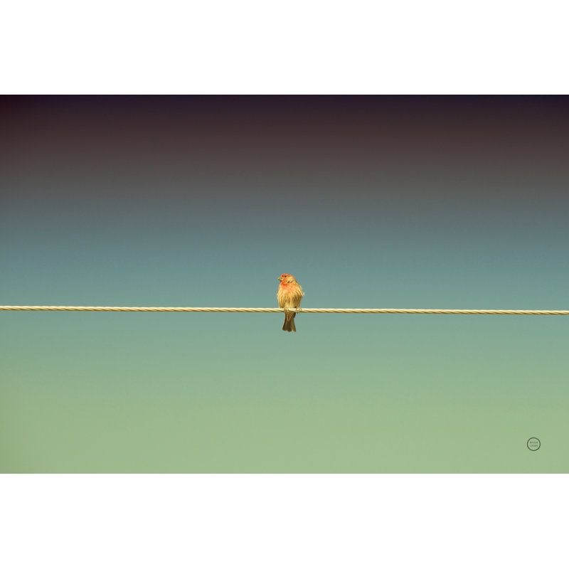 Waiting by Nathan Larson - Wrapped Canvas Print, 61cm H x 91cm W