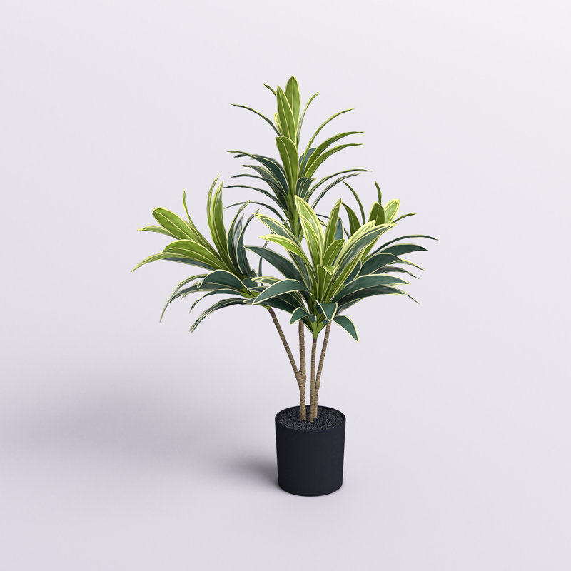 Arbre Dracaena artificiel Keil en pot, H 26 po x l 22 po x P 22 po