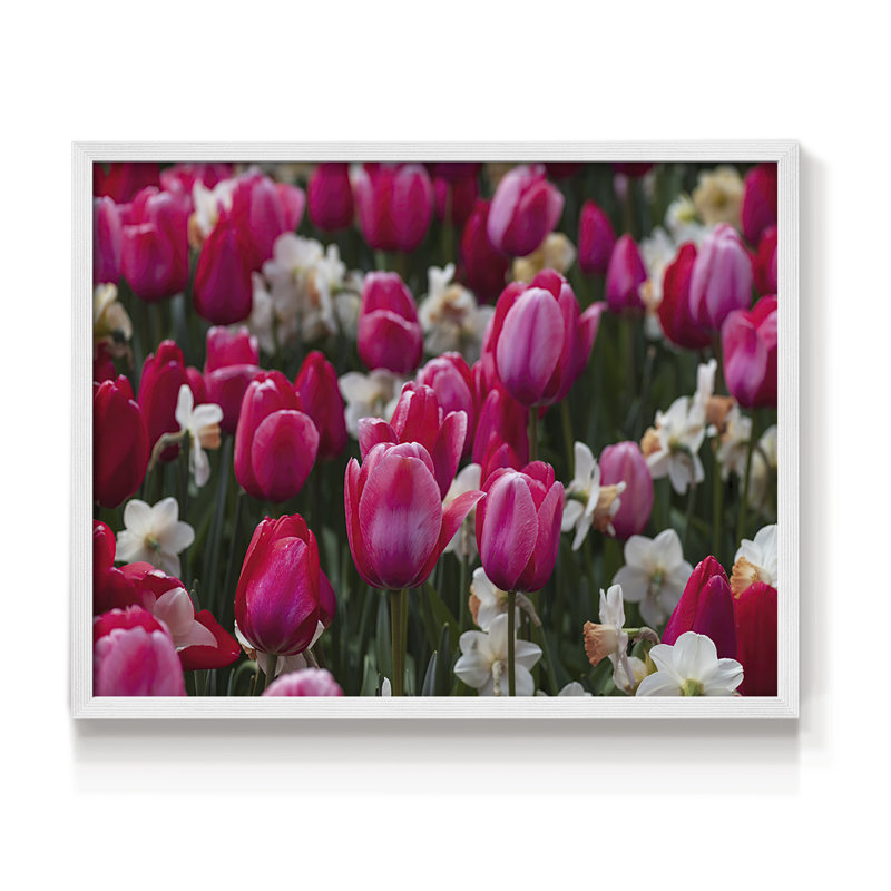 Looks like Spring -Framed Print - Restickable
