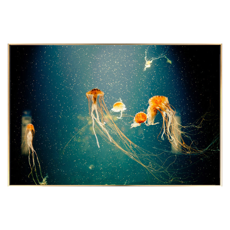 No Title - Inside A Frame Print on Glass