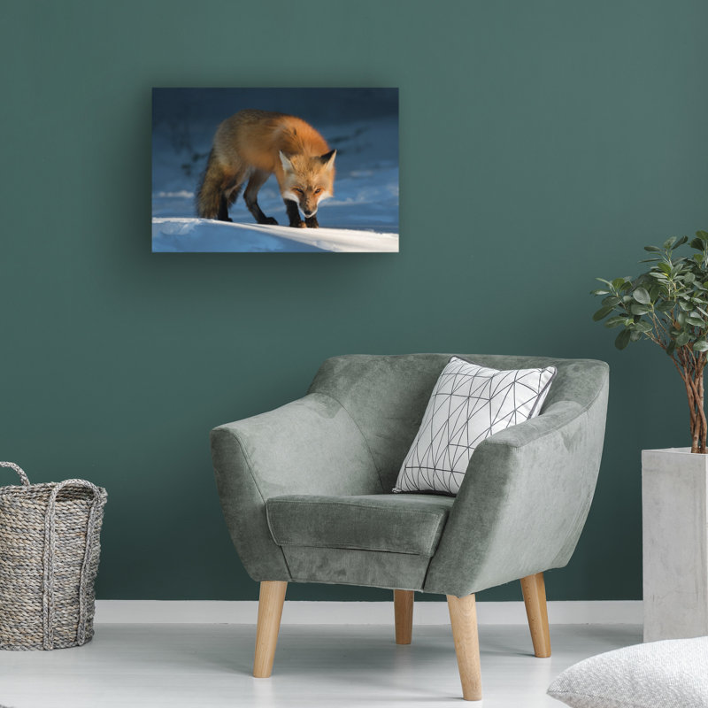 Art sur toile renard roux, Susan, H 16 po x l 24 po