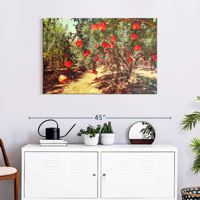 Harnek Pomegranate Orchard