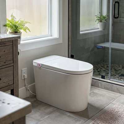 Smart Bidet Toilet With Heated Seat, Foot Sensor
