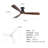Hot Sales 52 Inch Modern Black Ceiling Fans With Lights