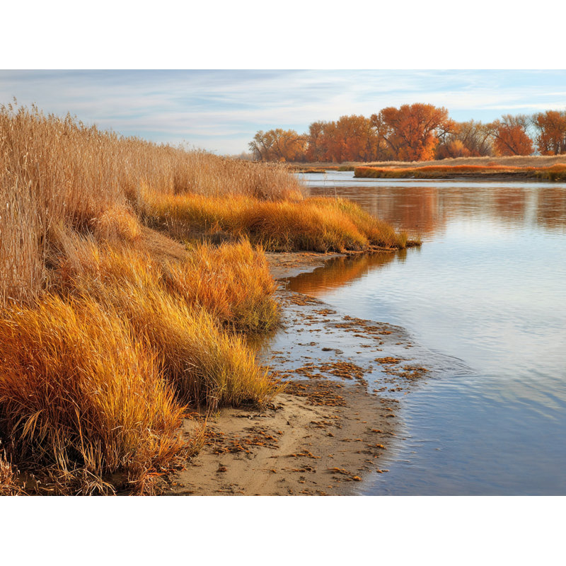 «Golden Riverside Calm», art mural sur toile tendue, H 36 po x l 48 po