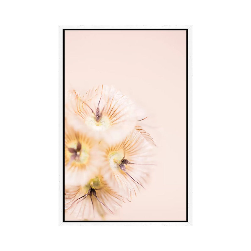 Bleach Blonde III 1 Piece Wall Art on Canvas, 66.04 cm H x 45.72 cm W, White Framed