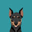 Doberman pinscher, impression sur toile tendue-19741743-74739311-74739312