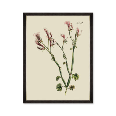 BOTANICAL I