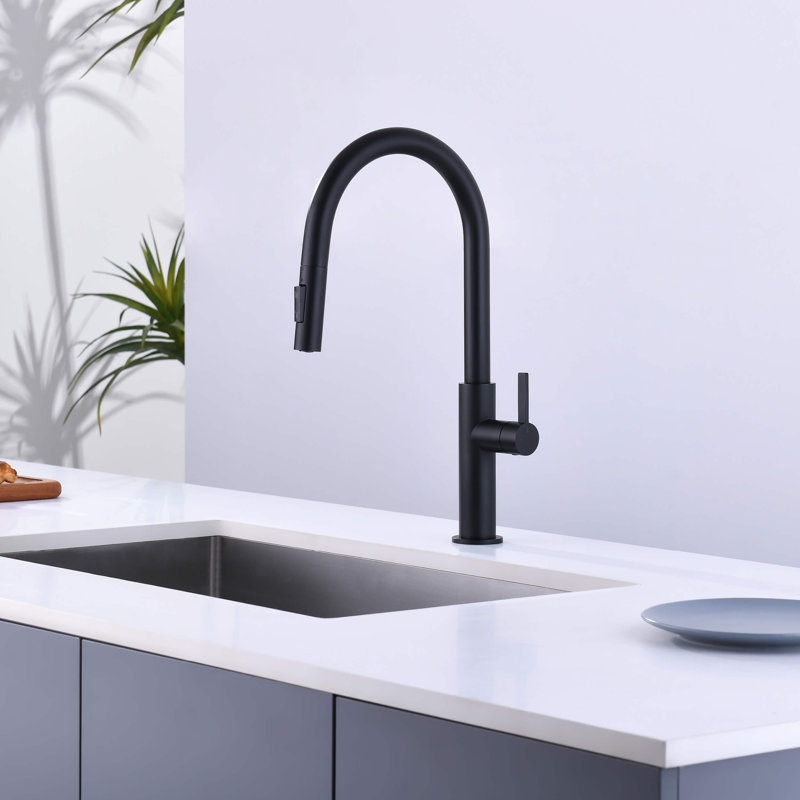 Robinet de cuisine à poignée simple Novo, Noir mat