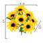 Tige de tournesol pleine floraison-1116673734