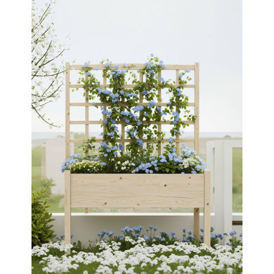 Raised Garden Bed