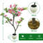 Plant-1624312190